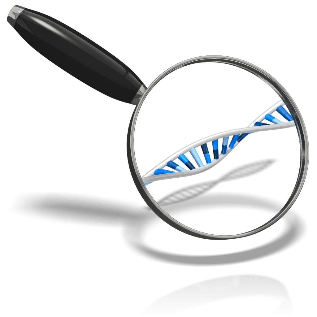 DNA, ADN, Hemix, asesoramiento genetico, genetica, genetista
